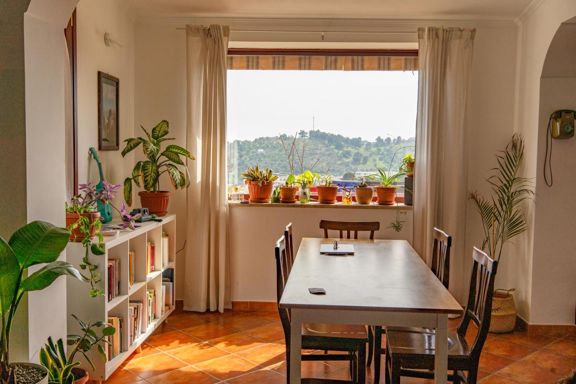 Coliving Together Gargano Vieste Esterno foto