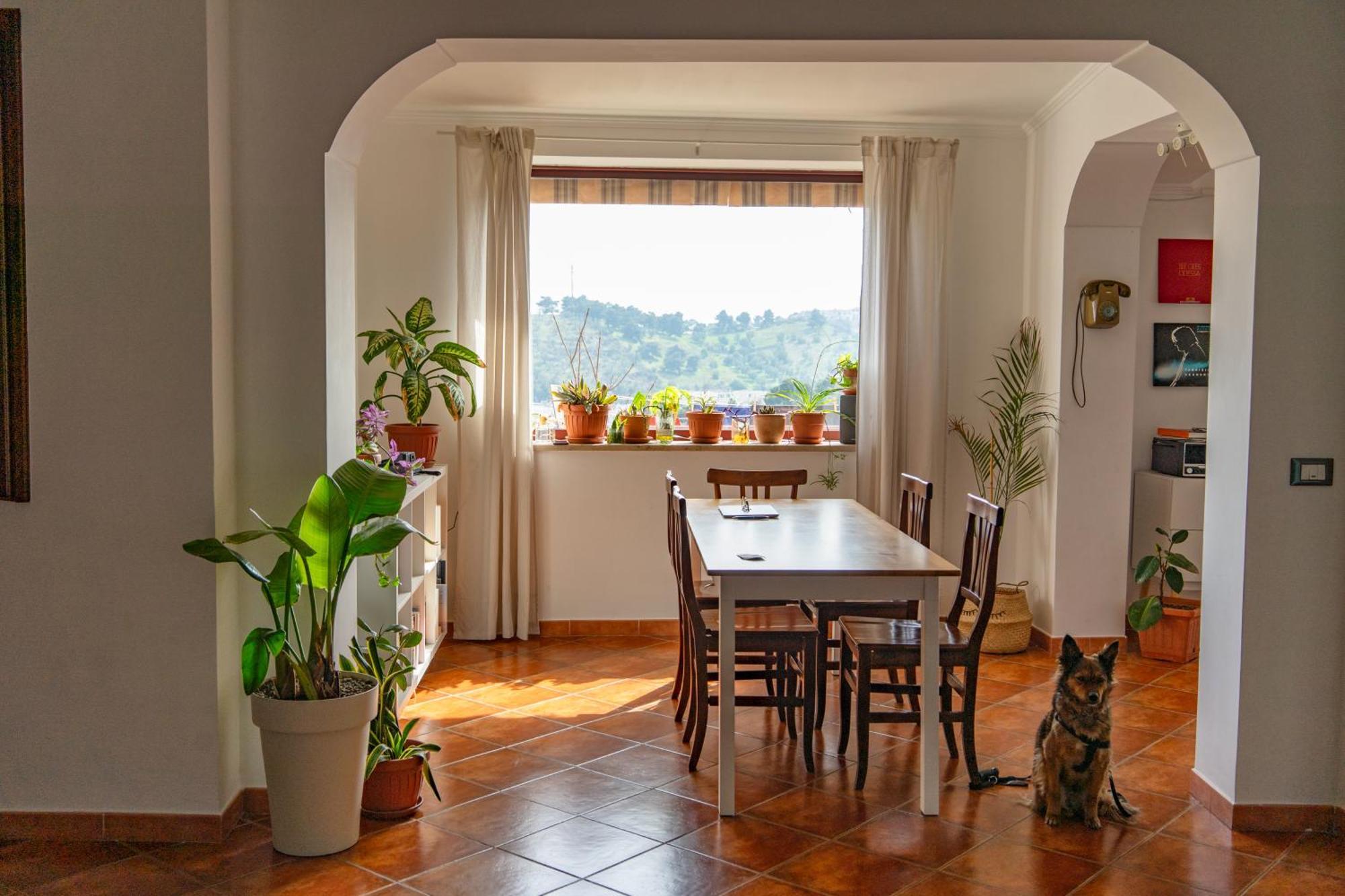 Coliving Together Gargano Vieste Esterno foto